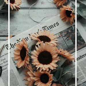 Meet your Posher, Presley